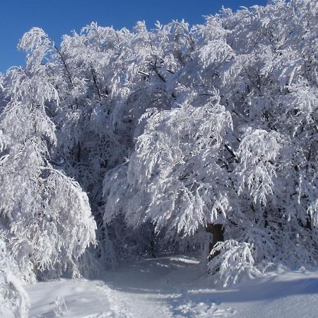 Hotel Hildfelder Stuebchen Winterberg Zewnętrze zdjęcie