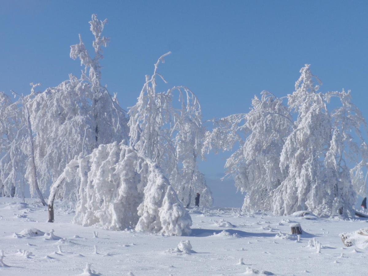 Hotel Hildfelder Stuebchen Winterberg Zewnętrze zdjęcie
